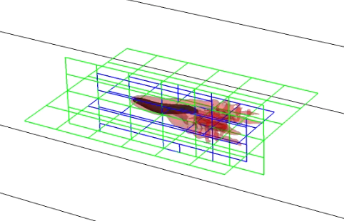 Self-propelled swimming eel simulation